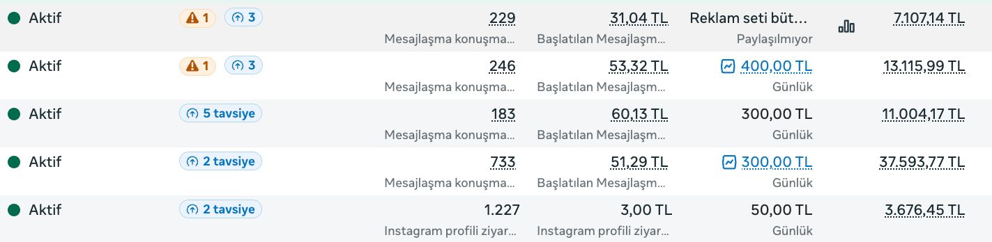 Meta Ads Manager screenshot with 5 active rows. Outlined: 733 Messaging conversations started, Cost per result ₺51.29, Amount spent ₺37,593.77 · 1,227 Instagram profile visits, Cost per result ₺3.00, Amount spent ₺3,676.45.